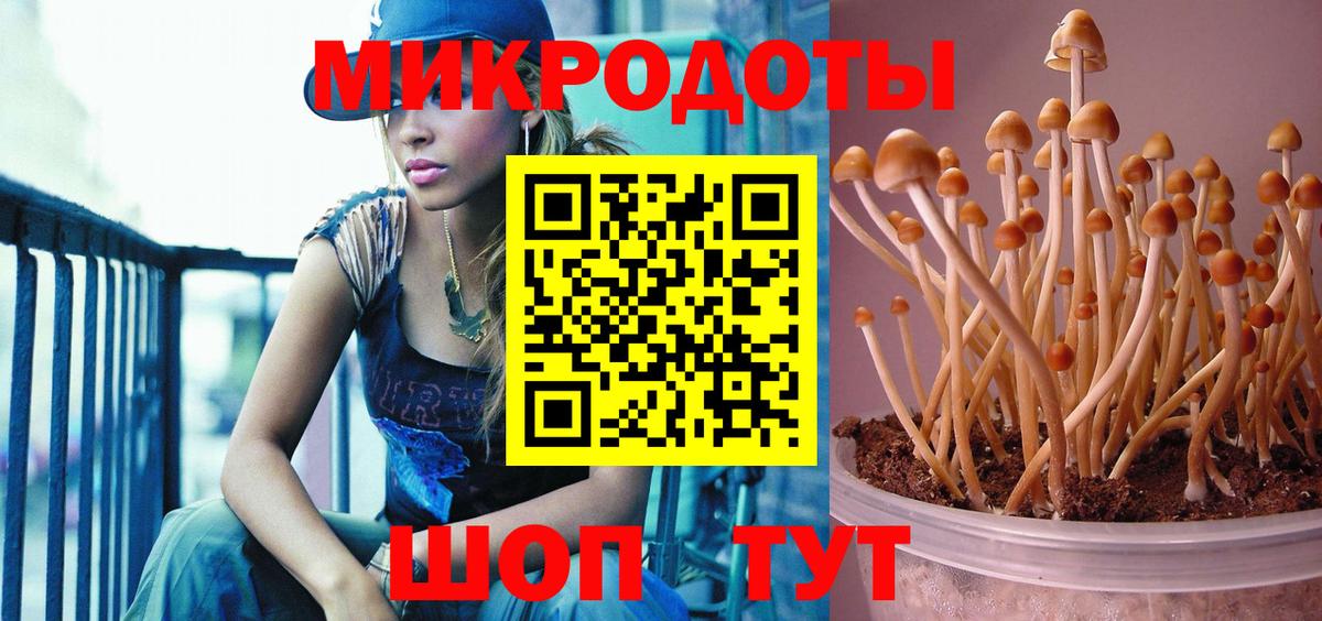 Галлюциногенные грибы GOLDEN TEACHER  Вход с VPN  Волгоград 